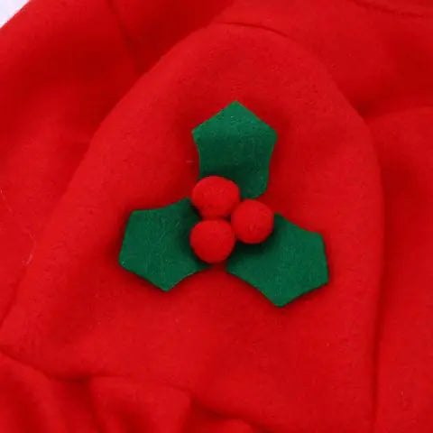 Santa Claus Toilet Seat Cover